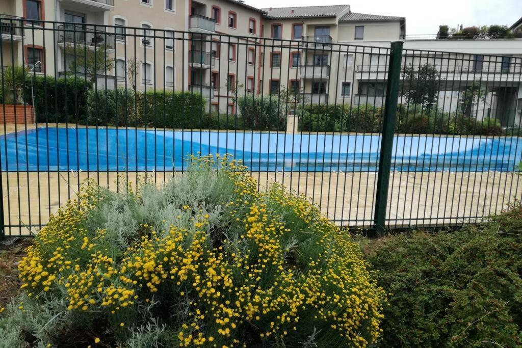 T2 Entier - Hyper Centre - Cosy Home Grenade-sur-Garonne Екстер'єр фото